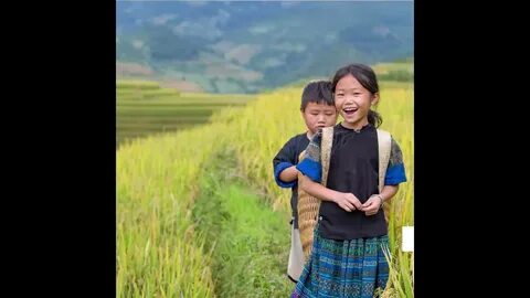 Cách Khởi Nghiệp Kiếm Tiền Bán Thời Gian Dành Cho Người Mới