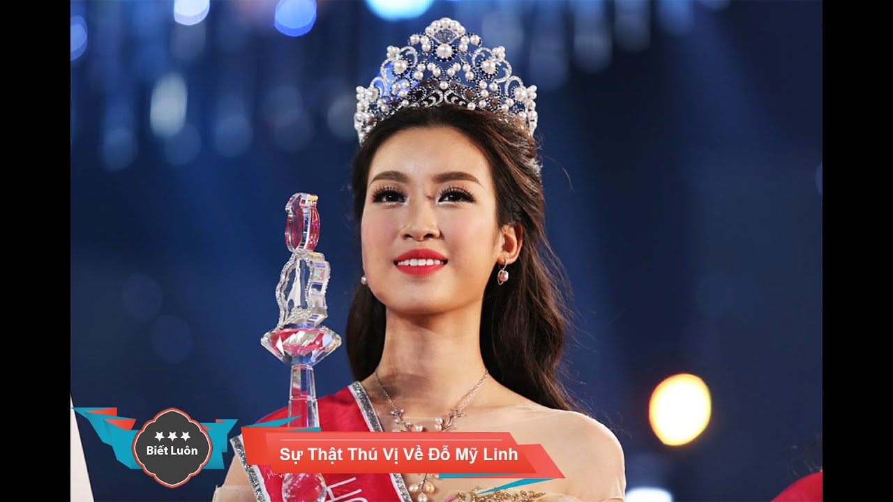 Chính sách đại lý của Hotspot Matrix: Cơ hội hợp tác bền vững trong ngành video ngắn_Ứng dụng Hotspot Matrix