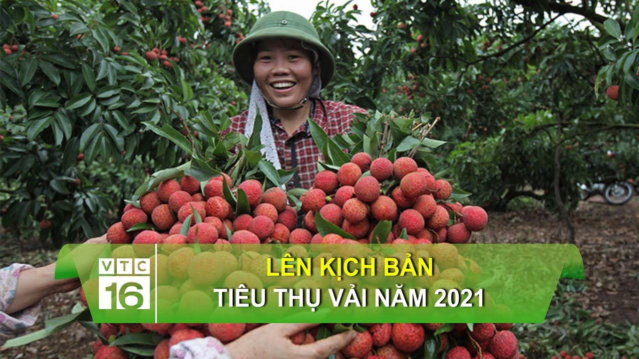 Video ngắn – Giải pháp truyền thông thông minh cho doanh nghiệp nhỏ_Khóa học edit video cho người mới bắt đầu