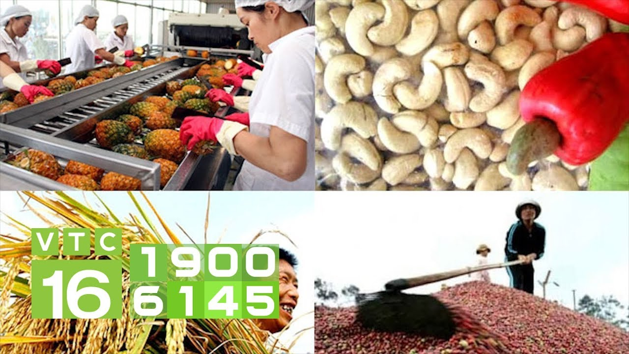 Cách Khởi Nghiệp Kiếm Tiền Bán Thời Gian Dành Cho Người Mới_Phân phối video đa kênh