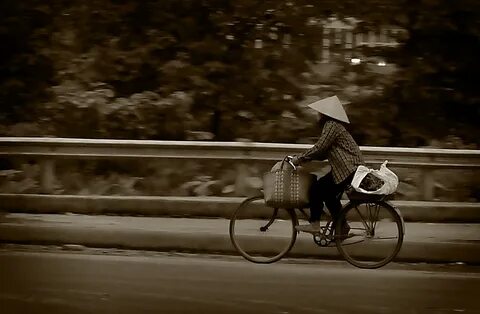 Sự Bùng Nổ Của Video Ngắn và Trí Tuệ Nhân Tạo: Vai Trò Thiết Yếu Của Đào Tạo Kỹ Năng Sáng Tạo Nội Dung_Video phân phối nền tảng