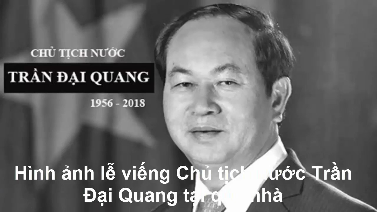 Sự Bùng Nổ Của Video Ngắn và Trí Tuệ Nhân Tạo: Vai Trò Thiết Yếu Của Đào Tạo Kỹ Năng Sáng Tạo Nội Dung_video ngắn trên TikTok