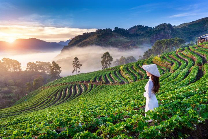 Cách Khởi Nghiệp Kiếm Tiền Bán Thời Gian Dành Cho Người Mới