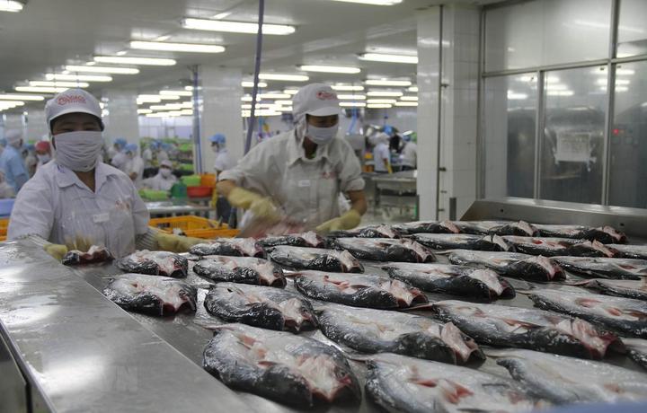 Cách Khởi Nghiệp Kiếm Tiền Bán Thời Gian Dành Cho Người Mới