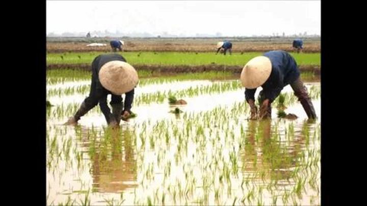 Sự Bùng Nổ Của Video Ngắn và Trí Tuệ Nhân Tạo: Vai Trò Thiết Yếu Của Đào Tạo Kỹ Năng Sáng Tạo Nội Dung_Hỗ trợ khởi động