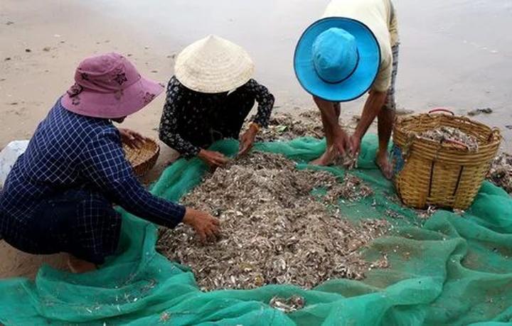 Sự Bùng Nổ Của Video Ngắn và Trí Tuệ Nhân Tạo: Vai Trò Thiết Yếu Của Đào Tạo Kỹ Năng Sáng Tạo Nội Dung